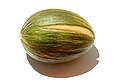 Melon Rochet.