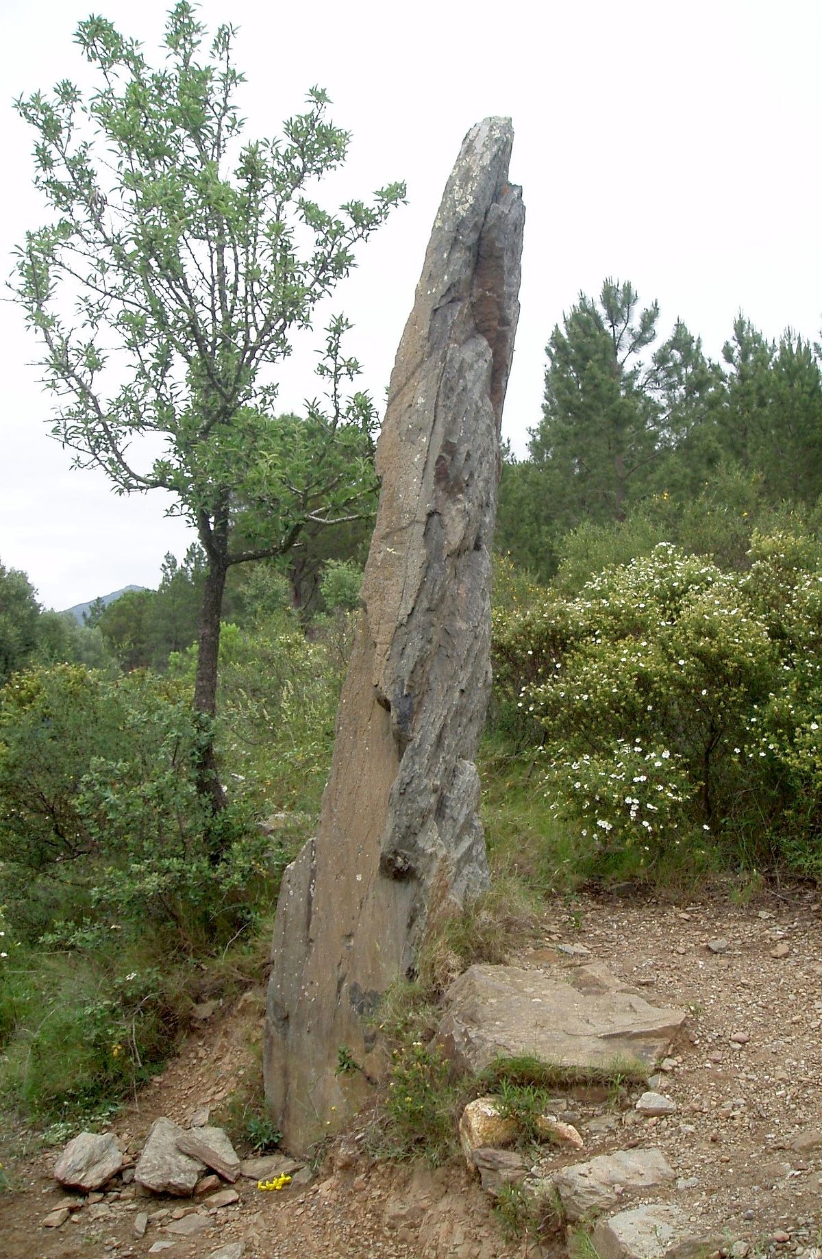 Menhir Del Mas Roque Wikipedia