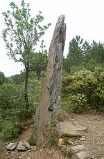 Miniatura per Menhir del Mas Roqué