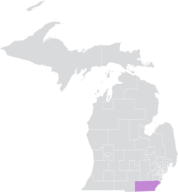 Michigan Senato Bölgesi 17 (2010) .png
