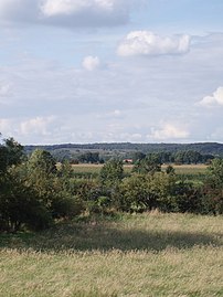 Mookerheide