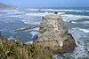 Part of the gannet colony, on Motutara Island