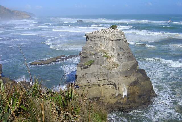 The gannet colony off the Muriwai coast that was a muse for McCahon