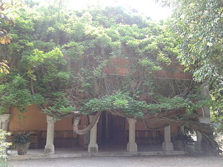 Bicknell Museum natural history museum in Bordighera, Italy