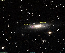 NGC 1003 DSS.jpg