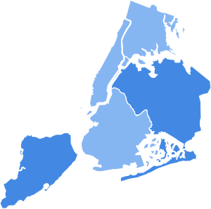 NYC Mayoral Election 1945.svg