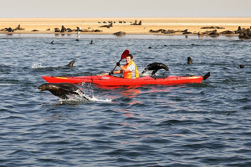 File:Namibia Walvis Bay 1.jpg