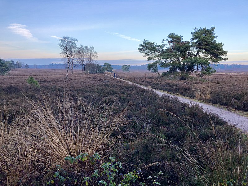 File:Netherlands, Veluwe (2), Epe, Renderklippen.jpg