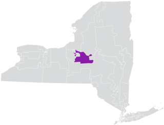 New Yorks 53rd State Senate district American legislative district