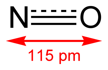 Nitric-oxide-2D.png