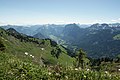 Habitat der “Pulsatilla alpina”