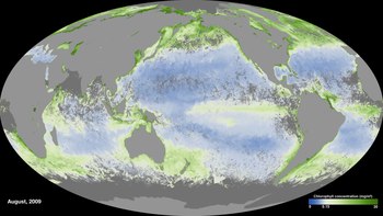 Tiedosto: Ocean Color heinäkuusta 2002 maaliskuuhun 2017 - NASA Aqua satellite.webm