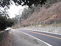 淡河町東畑 兵庫県道38号三木三田線 (2)