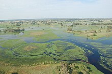 The Okavango Delta Okavango Delta, Botswana (2674364913).jpg