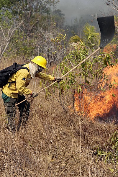 File:Operação Kuarup, Agosto-2016 (29191520440).jpg