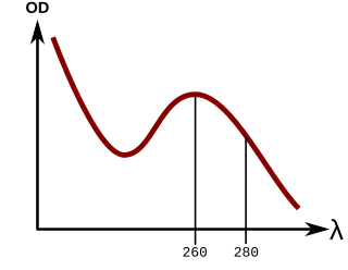 Nucleic acid quantitation commonly performed to determine the average concentrations of DNA or RNA present in a mixture, as well as their purity