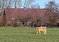 Das Abbild einer Kuh in den deutschen Farben mit der Aufschrift "Die faire Milch"