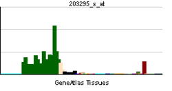 PBB GE ATP1A2 203295 s ĉe tn.png