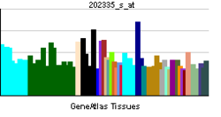 PBB GE UBE2B 202335 s ĉe tn.png