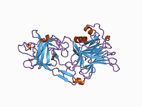 Tetanus toxin