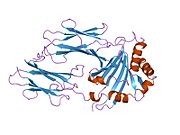 PDB 1hdm EBI.jpg