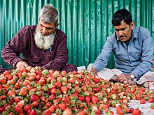 Strawberry-recipes-that-you-will-fall-in-love-with, by MasterChef Sanjeev  Kapoor