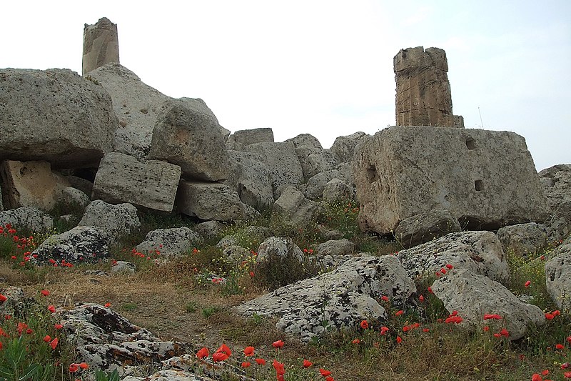 File:Papaveri e... - panoramio.jpg