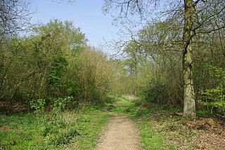 Garnetts Wood and Barnston Lays