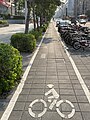 File:Pavement with a bicycle priority lane in Taipei.jpg