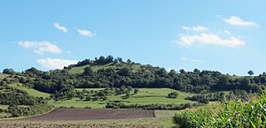 The Petersberg from the north