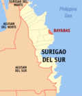 Gambar mini seharga Bayabas, Surigao del Sur