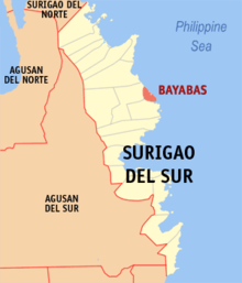 Ph lokátor surigao del na bayabas.png