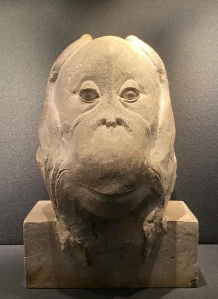 File:Pompon, Orangutan.jpg