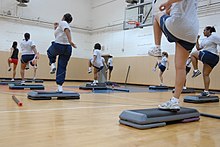 A group of women exercise in a gymnasium, stepping on plastic step devices.