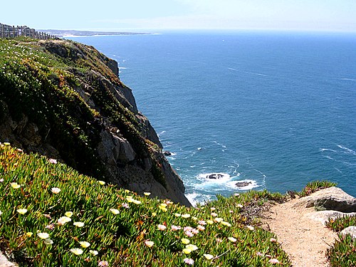 Spring at Cabo da Roca (Portugal)