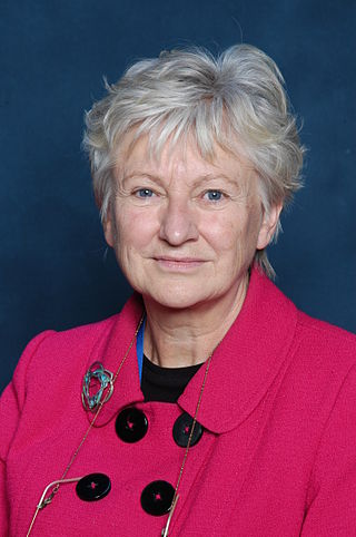 <span class="mw-page-title-main">Angela Little (academic)</span> British-Manx academic