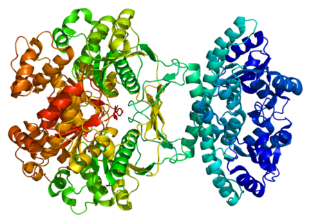Inosine monophosphate synthase