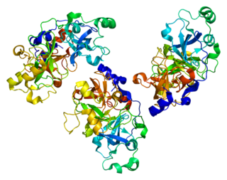 L3MBTL protein-coding gene in the species Homo sapiens