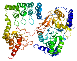 Ақуыз PPP1R12A PDB 1s70.png