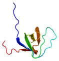 Bawdlun y fersiwn am 07:29, 24 Rhagfyr 2009