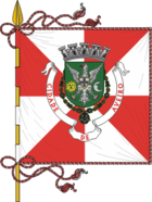 Flaga Aveiro