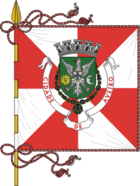 Aveiros flag