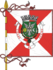 Aveiro (Portogallo) - Bandiera