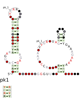 <span class="mw-page-title-main">Drum RNA motif</span>