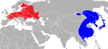 Planisphère de couleur grise représentant la présence du Chien viverrin dans le monde (Asie de l'Est en bleu et Europe de l'Est en rouge).