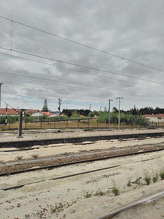 <span class="mw-page-title-main">Ramal do Louriçal</span> Portuguese railway line