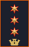 Rank of Vice Comandante Generale of the local police corp of Roma Capitale.png