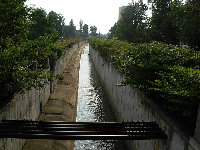 File:Rawa River - summer 2007 01.JPG