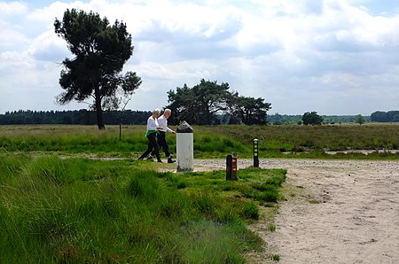 Regte Heide DSCF4299.jpg