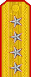 Romania-Army-OF-9.svg